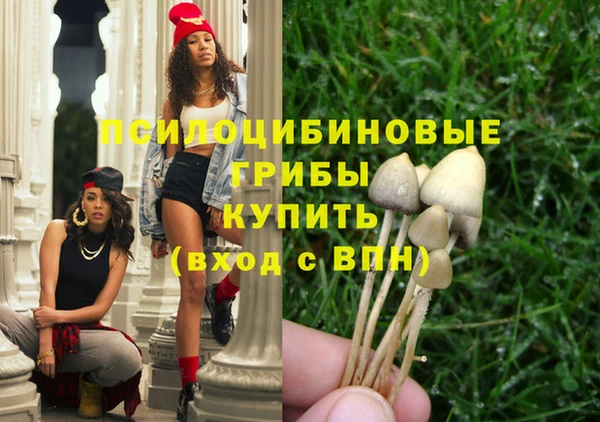 соль курить ск Арсеньев